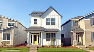Natalia - Butternut Creek - The Forrest Collection: Hillsboro, Oregon - Lennar