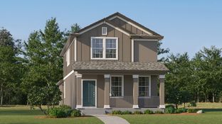 Magnolia - Longleaf - The Havens: New Port Richey, Florida - Lennar