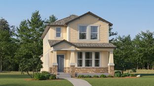 Willow - Longleaf - The Havens: New Port Richey, Florida - Lennar