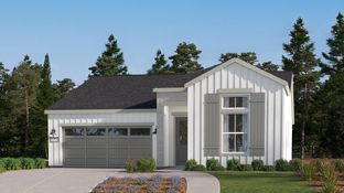 Quill - Marcona Preserve - Calligraphy Series: Shafter, California - Lennar