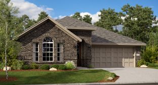 Amber - Wildflower Ranch - Brookstone Collection: Fort Worth, Texas - Lennar