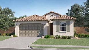 Lewis Plan 3575 - Asante Artisan - Discovery: Surprise, Arizona - Lennar
