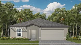 Birch - Acacia Groves: Homestead, Florida - Lennar