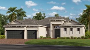 Sunset - South Gulf Cove by Lennar: Port Charlotte, Florida - Lennar