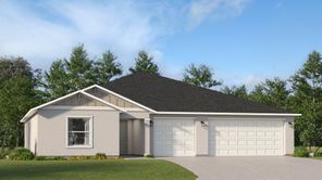 4194 GOOSEBERRY TRAIL (Aspire)
