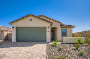 Coronado Plan 3560 - Teravalis - Premier: Buckeye, Arizona - Lennar