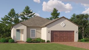 Splendor - New Port Corners Active Adult - The Manors: New Port Richey, Florida - Lennar