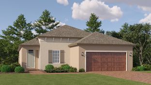 Splendor - New Port Corners Active Adult - The Manors: New Port Richey, Florida - Lennar