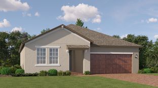 Sunburst - New Port Corners Active Adult - The Manors: New Port Richey, Florida - Lennar