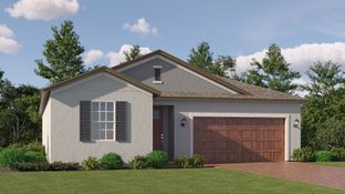 Dawning - New Port Corners Active Adult - The Manors: New Port Richey, Florida - Lennar