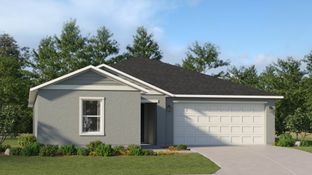 Celeste - The Parks at Edgewater - Grand Collection: Edgewater, Florida - Lennar