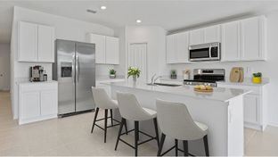 Celeste - Hunt Club Groves - Estate Key Collections: Lake Wales, Florida - Lennar