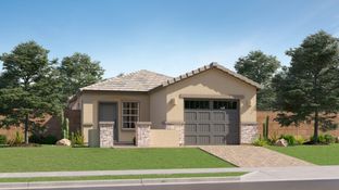 Iris Plan 2556 - Anderson Farms - Cottage: Maricopa, Arizona - Lennar