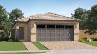 Lilac Plan 2569 - Anderson Farms - Cottage: Maricopa, Arizona - Lennar