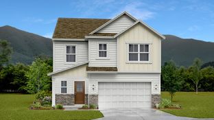 Ironwood - Farmhouse Downs - Cambridge Collection: Murfreesboro, Tennessee - Lennar