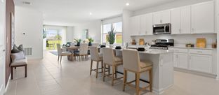 Joshua II - Waterstone - Estate II Collection: Mascotte, Florida - Lennar