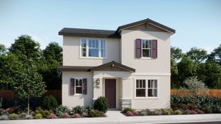 Residence 1943 - Ruby Cottages: Woodland, California - Lennar