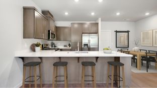 Pioneer - South River Terrace - The Cascade Collection: Tigard, Oregon - Lennar