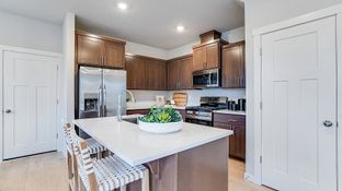 Tumalo - South River Terrace - The Cascade Collection: Tigard, Oregon - Lennar