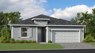 Areca - Tuckers Cove - Executive Homes: Punta Gorda, Florida - Lennar