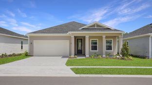 TREVI - Silver Meadows at SilverLeaf - Silver Meadows 50s: Saint Augustine, Florida - Lennar