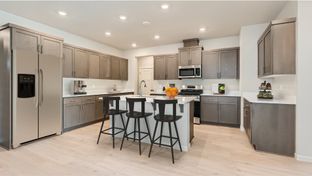 Ashley - South River Terrace - The Willamette Collection: Tigard, Oregon - Lennar