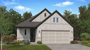 Cupertino II - The Grand Prairie - Avante Collection: Hockley, Texas - Village Builders
