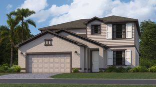Amalfi - Rye Ranch - Executive Homes: Parrish, Florida - Lennar