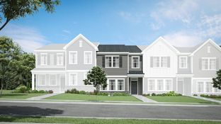 Sutton - Marelli - Venture Collection: Sanford, North Carolina - Lennar