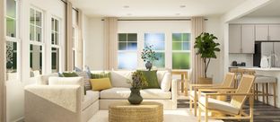 Chadwick - Sherri Downs - Hanover Collection: Angier, North Carolina - Lennar