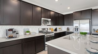 Pioneer NextGen - Avery Pointe: Las Vegas, Nevada - Lennar