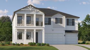 Patterson - Stonegate Preserve - The Executives: Palmetto, Florida - Lennar