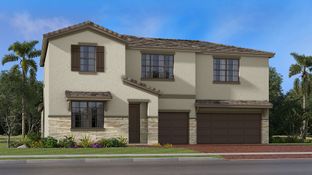 Holly - Estates of Boynton Waters: Boynton Beach, Florida - Lennar