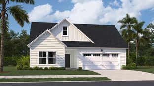 COLLINS - Horizons at Carnes Crossroads | 55+ - Legends Collection: Summerville, South Carolina - Lennar