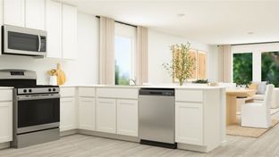 LITTLETON - Kingston Oaks: Conway, South Carolina - Lennar