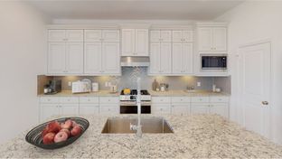 Donovan - Synova - Bristol Collection: Crosby, Texas - Village Builders