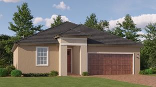 Morningtide II - Mirada Active Adult - Active Adult Manors: San Antonio, Florida - Lennar