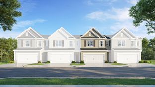 Coleman - Stella View - Ardmore Collection: Durham, North Carolina - Lennar