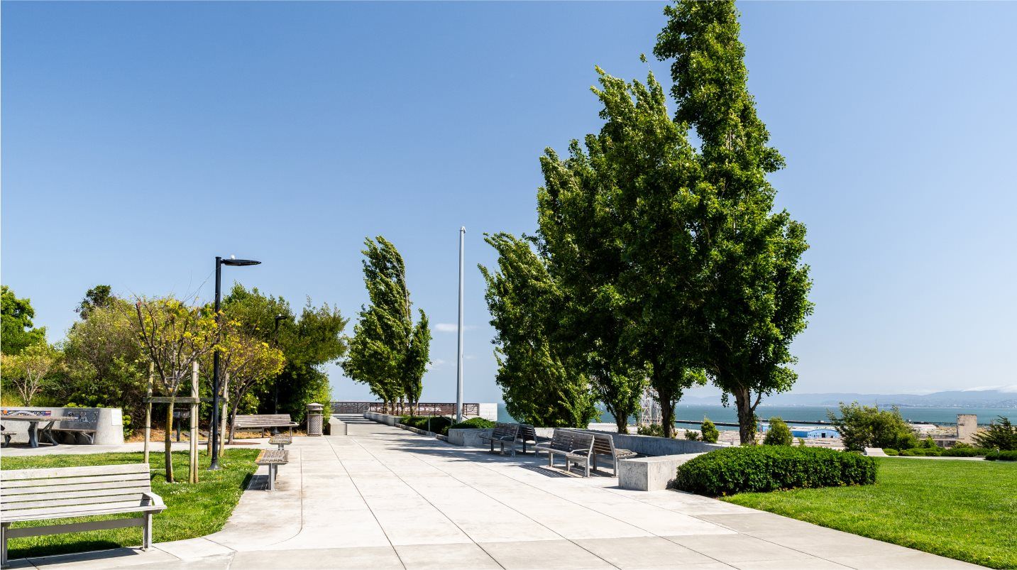 Park amenity