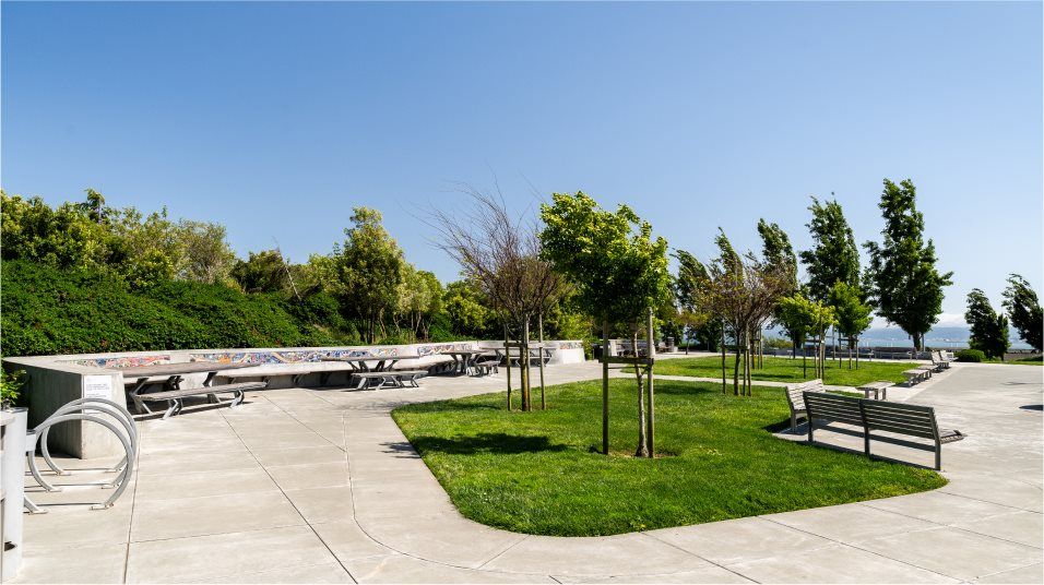 Picnic Area amenity with grass area