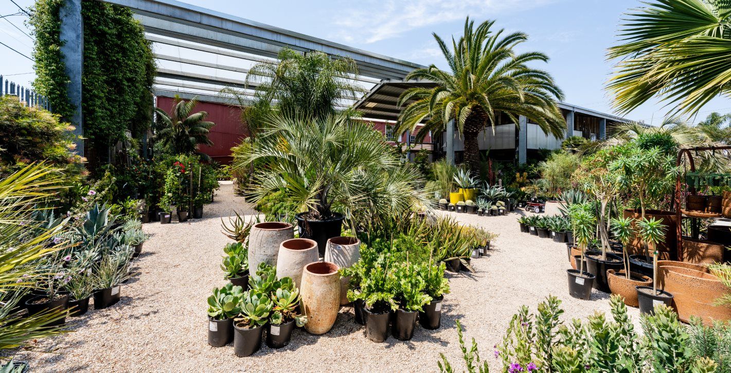 Flora Grubb Nursery