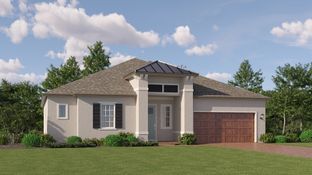 Argent II - New Port Corners Active Adult - The Estates: New Port Richey, Florida - Lennar