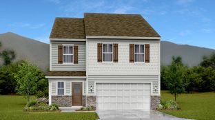 Ironwood - Vineyard Grove - Cambridge Collection: Lebanon, Tennessee - Lennar
