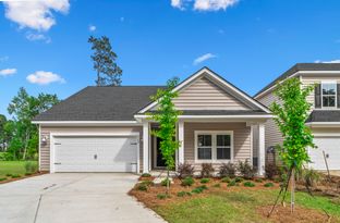 LITCHFIELD II - Savannah Quarters - Arbor Collection 60s: Pooler, Georgia - Lennar