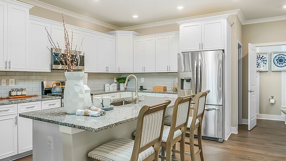 203 GRAND OVERLOOK DRIVE (Laguna)
