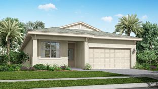 Jacaranda - Veranda Preserve - The Isles East: Port Saint Lucie, Florida - Lennar