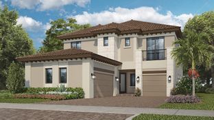 Barony - Parkland Royale - Crown Collection: Parkland, Florida - Lennar