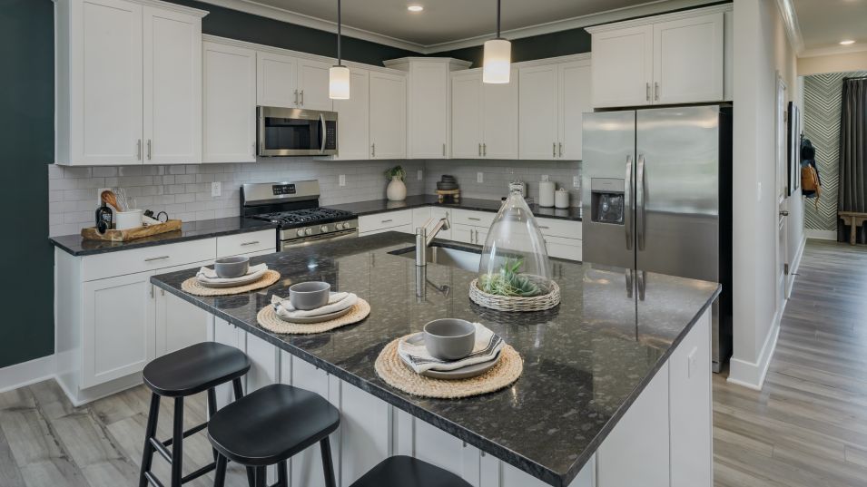 10607 GREAT BASIN PL (Hamlin)