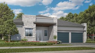 Astoria - Parkland Royale - Monarch Collection: Parkland, Florida - Lennar
