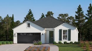 Papyrus - Tesoro Viejo - Calligraphy Series: Madera, California - Lennar